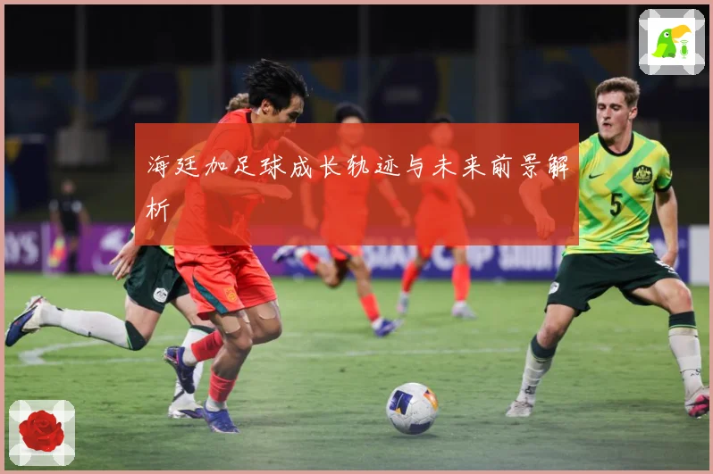 海廷加足球成长轨迹与未来前景解析