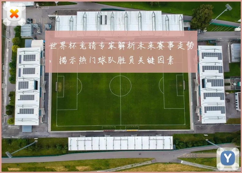 世界杯竞猜专家解析未来赛事走势，揭示热门球队胜负关键因素