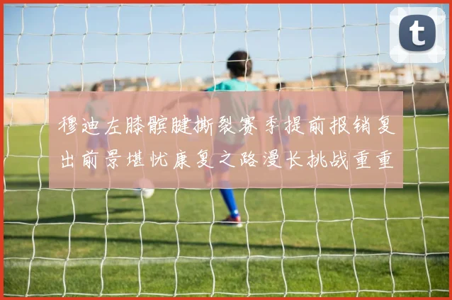 穆迪左膝髌腱撕裂赛季提前报销复出前景堪忧康复之路漫长挑战重重