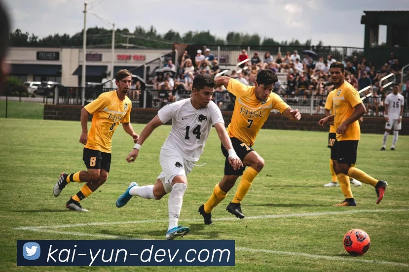 开云平台展示图