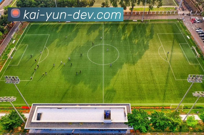 以开云入口为核心打造未来科技新生态全面探索数字化转型路径与创新模式