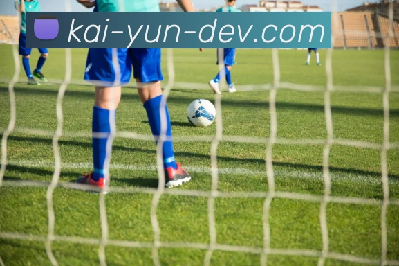 开云官网全站App